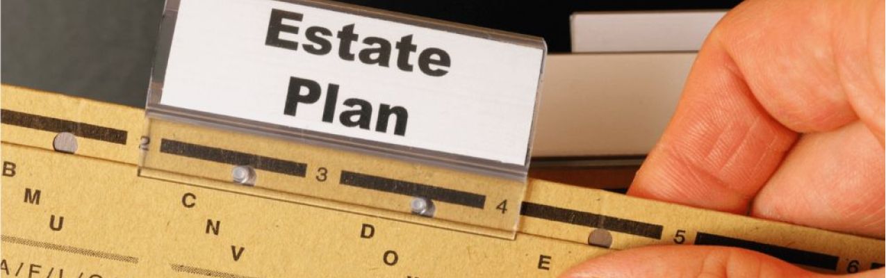 Estate Plan File