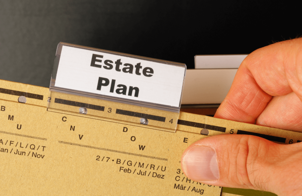 Estate Plan File